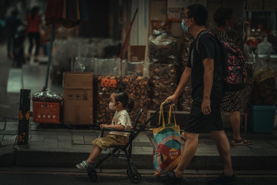 桂花嫁接新热点，优选砧木，提升观赏与经济价值