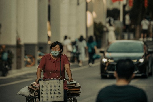 胡萝卜高效种植秘籍，解锁丰收新技巧