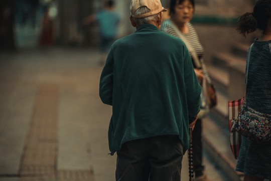 芙蓉花病害防治新策略，专家详解应对之道