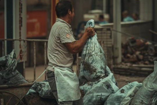 玫瑰新宠，安放有道，解锁最佳养殖位置